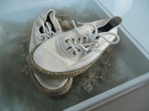Damenschuhe vans - damenschuhe,