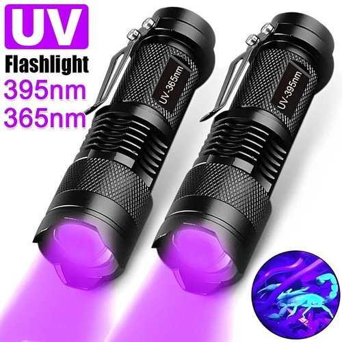 Taschenlampe schwarzlicht - uv,