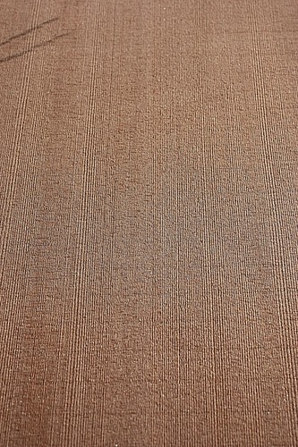 Coastal redwood klein - klein, /
