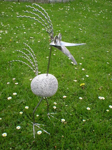 Wilder vogel aus - vogel,
