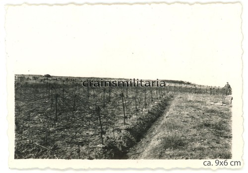 Orig foto soldat bei - soldat,