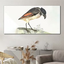 Zeichnung Tier Vogel Kunst