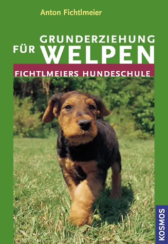 Grunderziehung für welpen - grunderziehung,