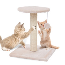 Kratzbaum klein Katzenbaum Katzenkratzbaum Kratzpfosten 44 cm beige für Katzen