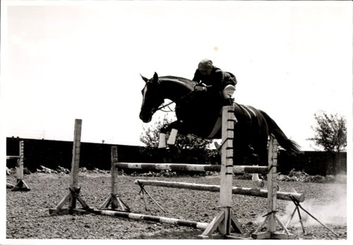 Foto springreiten sprung - foto,