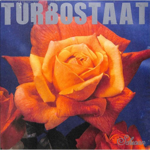 Turbostaat schwan ltd 180g - turbostaat,
