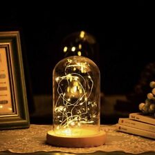 Deko Glas glocke Glashaube LED