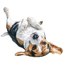 2x Sticker Beagle Car Sticker