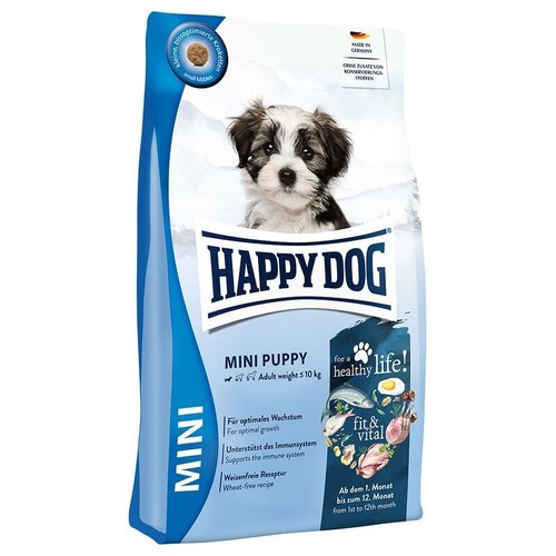 Happy dog mini - dog, puppy