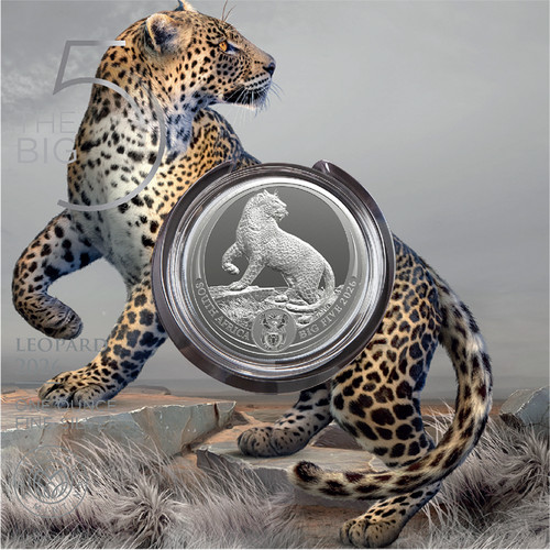Unze silber big five serie - 1,
