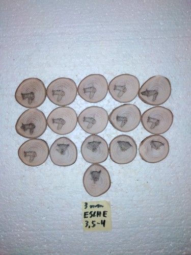 Baumscheiben esche 4 - esche, 3,5