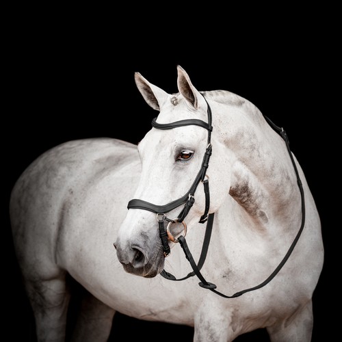 Horseware micklem - horseware, ii