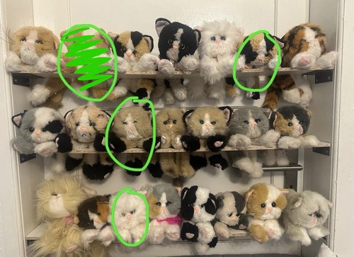 Dsi tyco kitty kittens - tyco,
