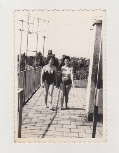 Zwei hübsche attraktive - , milf