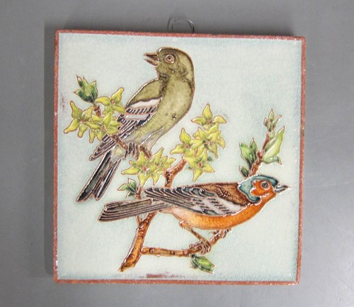 Selten fliese buchfinken - selten,