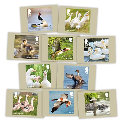 Enten briefmarken postkarten - enten,