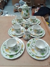 Villeroy Boch Geranium Kaffeegeschirr Für 6 Personen Guter Zustand