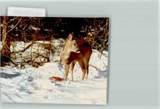 40080699 - 8972 Sonthofen