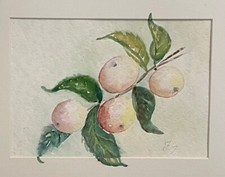Äpfel original Aquarell