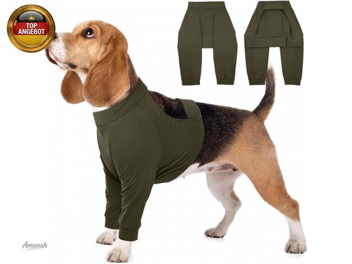 Hundebody nach für rüde - hundebody,