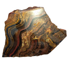 Anschliff Stromatolith