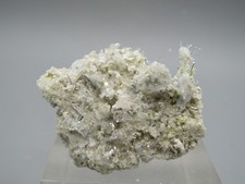 Nifontovit Charkas San Luis