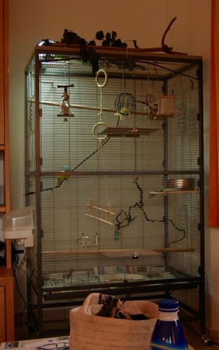 Voliere qualität von - 1a-qualität,