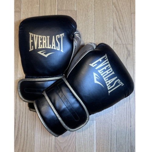 Everlast powerlock training - everlast,