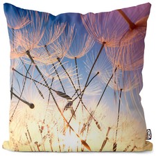 Pusteblume himmel blumen - pusteblume,