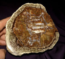 Thunderegg, Achat Jaspis, Old