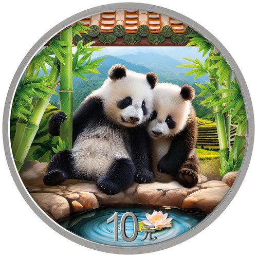 Silbermünze china panda 2026 - silbermünze,
