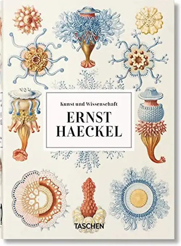 Ernst haeckel - ernst,