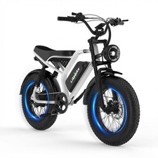 Electric Bike for Adults 1500W