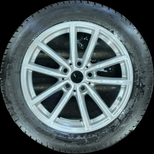 225 r17 98h - 225/50, winterreifen
