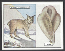 Wills - Tiere und ihre Pelze -