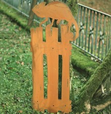 Chamäleon auf Gartenzaun