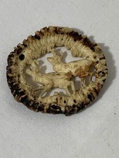 alte Hirschrose Hirschhornrose Erotika Gams zur Hirschlederhose Lederhosenträger