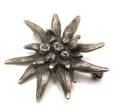 Wunderschöne Edelweiß