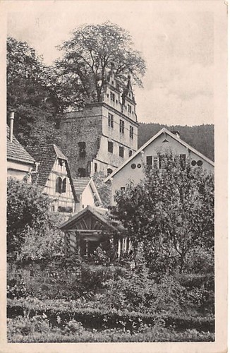 Hirsau schlossruine mit ulme - schlossruine,
