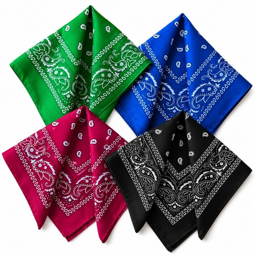 Paisley bandana 55cm - paisley,