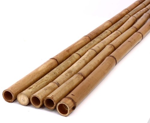 Karamellfarbenes bambusrohr - karamellfarbenes,