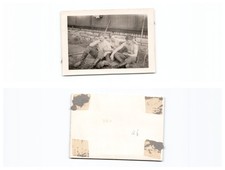 (b85930a6)   2. Weltkrieg Foto