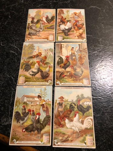 Bilder komplette serie - 6,