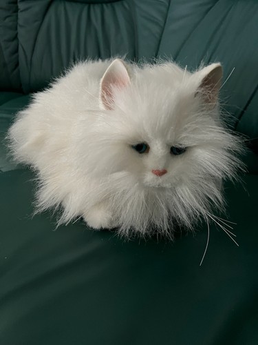 Furreal friends katze - furreal,