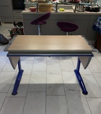 Moll Schreibtisch+ Lampe+