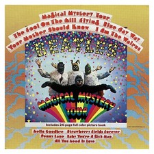 Vinyl the beatles - vinyl,