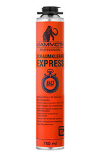 PU-Schaumkleber Express 60s