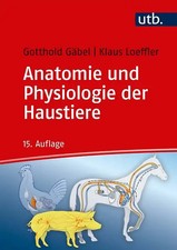 Anatomie und Physiologie der