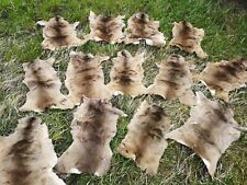 6 x Rehfell Rehfelle Reh Fell