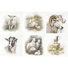 Reispapier-Set - ITD - RSM107